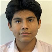 Private Maths/Spanish lessons tailored to the pupil’s exam board for GCSE/A Level