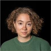 Ripetizioni di lingua inglese per medie e biennio delle superiori 