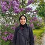 Rabia