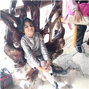 Harki hichem