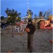 Cerchi un aiuto compiti? Scrivimi, posso esserti utile in tutte le materie! 