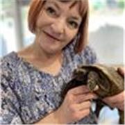 Over 20 years self employed baking experience and knowledge. Offering guidance, step by step on your chosen area of baking