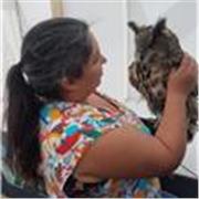 Clases online de Ingles Basico, Intemedio, Avanzado
