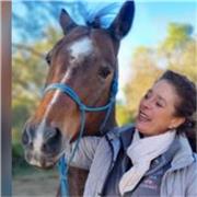 Le professeur d’anglais propose des cours ludiques et basé sur un apprentissage régulier et performant.