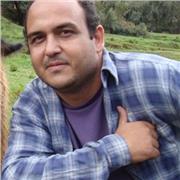 Experienced Physics University Professor and Tutor Inspires Curiosity and Excellence in Students of All Levels