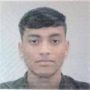 I am a current international student based in the UK. As a native English speaker, I scored 94% on my high school English exam and am confident in teaching primary school students, both native and non-native speakers the basics of english and more complex