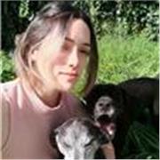 Clases particulares de inglés (de apoyo y preparación para exámenes) - nivel primario, secundario y adultos