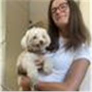 Piacere Martina! Sono una ragazza neodiplomata con 100 al liceo linguistico. Offro ripetizioni e aiuto compiti online 