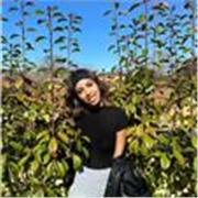 Offro lezioni individuali di italiano per principianti che hanno voglia di imparare questa bellissima lingua