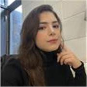 mainly aimed at children and beginners in English