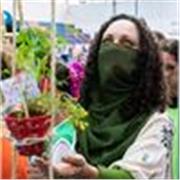 Professora de Teatro para todas as idades. Técnicas de expressão corporal e vocal, improvisos e criação coletiva e individual