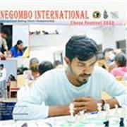 I'm an international chess player who gives online and in person chess lessons in English from uk