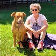 Docente di materie umanistiche ( Italiano, storia, geografia e latino) impartisce lezioni in presenza e da remoto