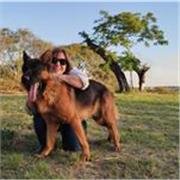 Maestro/a de Español en Línea. Clases online