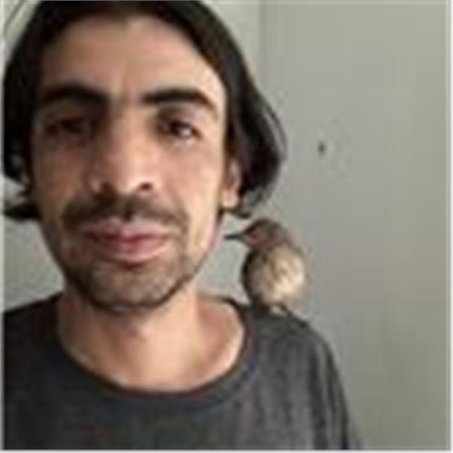 user photo