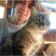 Profesor superior en artes plásticas. Conservatorio fraccassi buenos aires