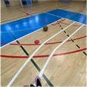 Apasionado del baloncesto, responsable y comunicativo, con experiencia entrenando y motivando alevines de distintos niveles.