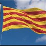 Profesor de Catalán. Persona catalana nativa para dar clases de catalán 