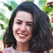 Statistics teacher with a background in social scientific research (English)