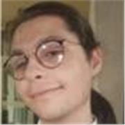 Diplomato al liceo scientifico offre ripetizioni di matematica, fisica e tutoraggio allo studio per ogni fascia d'età, sia in presenza che online