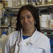 Biology tutor. First Class Biomedical Sciences graduate offering online KS3, GCSE, and A-Level lessons, tailored to each student