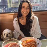 First class degree and experienced tutor in Maths and English with a strong undergraduate-level background in Science