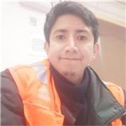 Profesor de matemáticas y Física preuniversitaria e universitaria