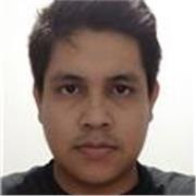 Professor de Inglês Online (5 anos de experiência)