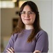 Online English Tutor for Students with Cambridge C1 Certificate (197 Points)