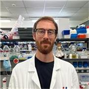 Biologo con dottorato ed esperienza di insegnamento offre lezioni/ripetizioni in biologia, chimica e aiuto compiti