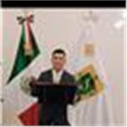 Maestro de secundaria y preparatoria en línea