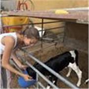 Ex estudiante de Bachillerato Nacional en Oak House School, colegio internacional en Barcelona. Actualmente estudio en IE.