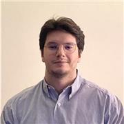 Studente universitario, laurea magistrale in ingegneria meccanica, offre ripetizioni di fisica