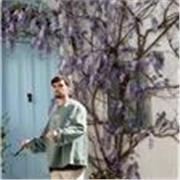 Especialista en Gestión Estratégica de Diseño -Gerenciamiento de Proyecto y de Diseño / Diseñador Gráfico UBA