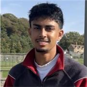 One-to-one online GCSE and A-level Tutor