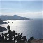 Professeur à domicile et à distance pour révéler votre potentiel