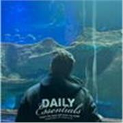 Monitor de Ocio y Tiempo Libre