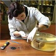 Laureta e specializzata in archeologia offre lezioni/ripetizioni personalizzate online di storia dell'arte, storia,latino,italiano