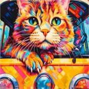 Offro ripetizioni individuali, sulla base dello scopo che vuoi e devi raggiungere!