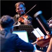 Profesor de piano y violín para todas las edades y niveles