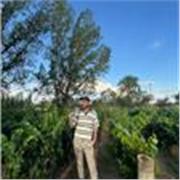 Clases de francés, alemán e inglés con enfoque comunicativo y cultural