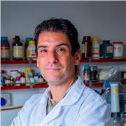 Ricercatore di ruolo fornisce assistenza allo studio per Chimica (Università e Superiori) e materie scientifiche per scuole medie