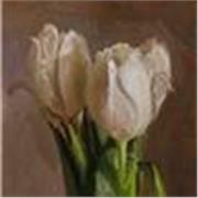 Se cerchi un tutor per le ripetizioni cominciamo 