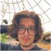 I have taught history to classmates and family up to A level in person.