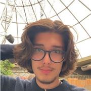 I have taught history to classmates and family up to A level in person.