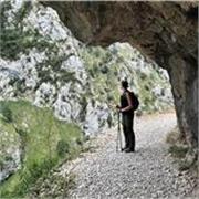 Estudiante de Ciencias de La Actividad Física y del Deporte y imparto clases de español para extranjeros/as. 