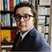 Profesor de derecho (civil, administrativo, sociedades y procesal)