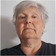 Clases de historia todos los niveles de escuela secundaria a distancia