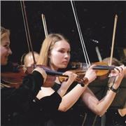 I give affordable violin and piano lessons for the beginners