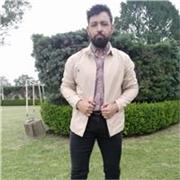 Profesor de asignaturas en el área Físico Matemático y Químico Biológico